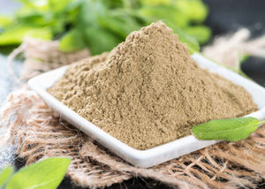 Sauge en poudre herboristerie les ames fleurs