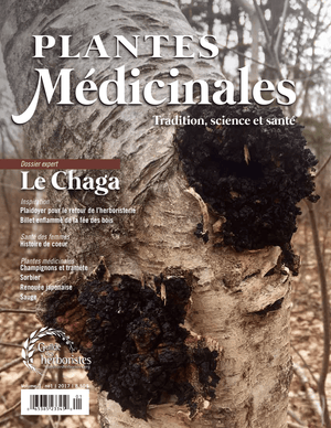 Magazine Plantes Médicinales - Le Chaga