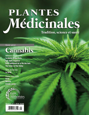 Magazine Plantes Médicinales - Le Cannabis
