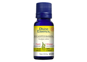 Eucalyptus radiata - Huile essentielle biologique