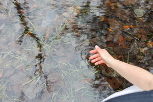 Des plantes et des planètes | Petit récit de mythologie grecque