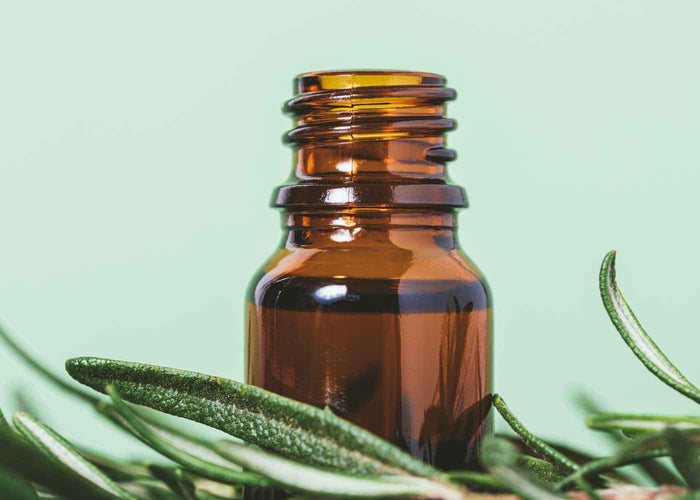 Extract of Rosemary - Antioxidant