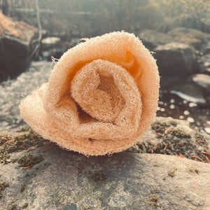 Whole luffa