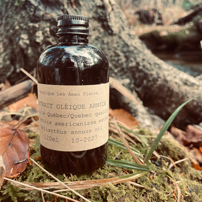 Arnica - Macerated oil