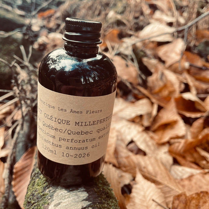 St. John's wort - Macerated oil