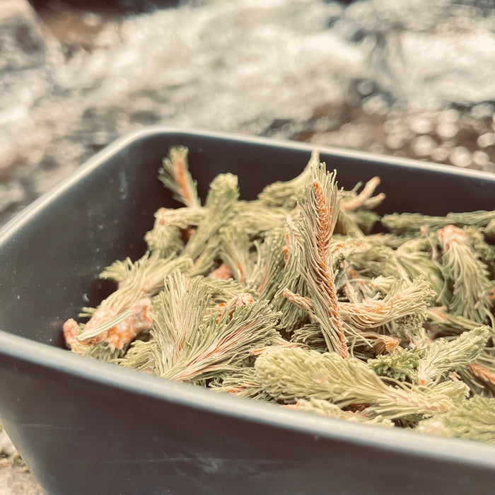 Fir balsam - QUALITY QC 100G