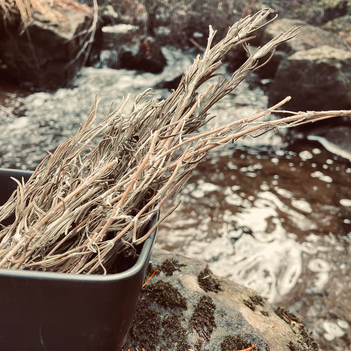 Rosemary - QC quality - 50 g