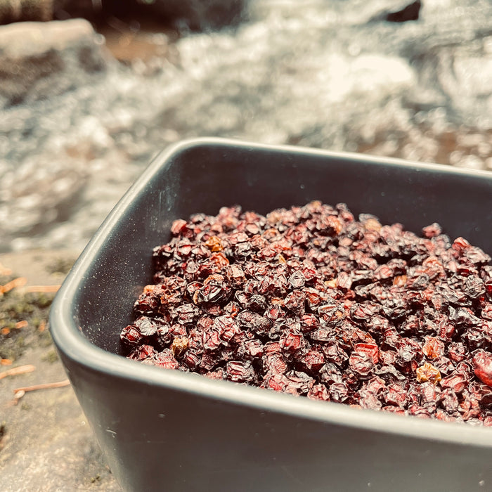 Black Elderberry - Berries - Quality Qc (back fall 2024)