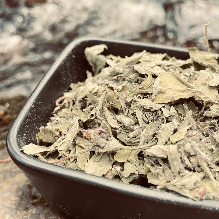 Holy Basil - QUALITY QC 50 g