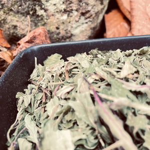 Menthe poivrée - Qualité Qc 100 g