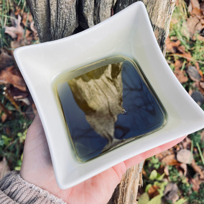 Fir balsam - Macerated oil