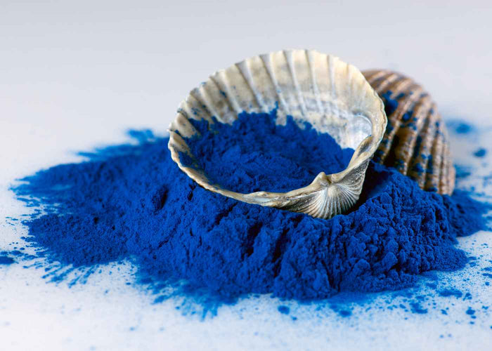 Spiruline bleue