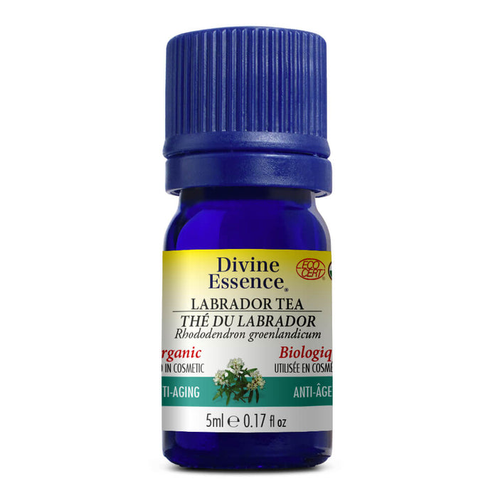 Labrador tea - essential oil organic 5 ml