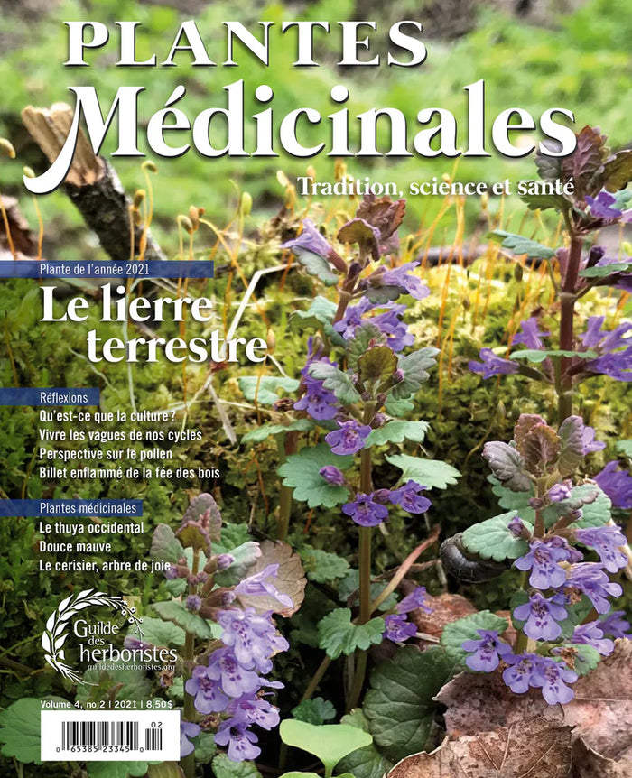 Medicinal Plants Magazine - Ground Ivy