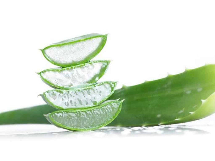 Aloes - Gel