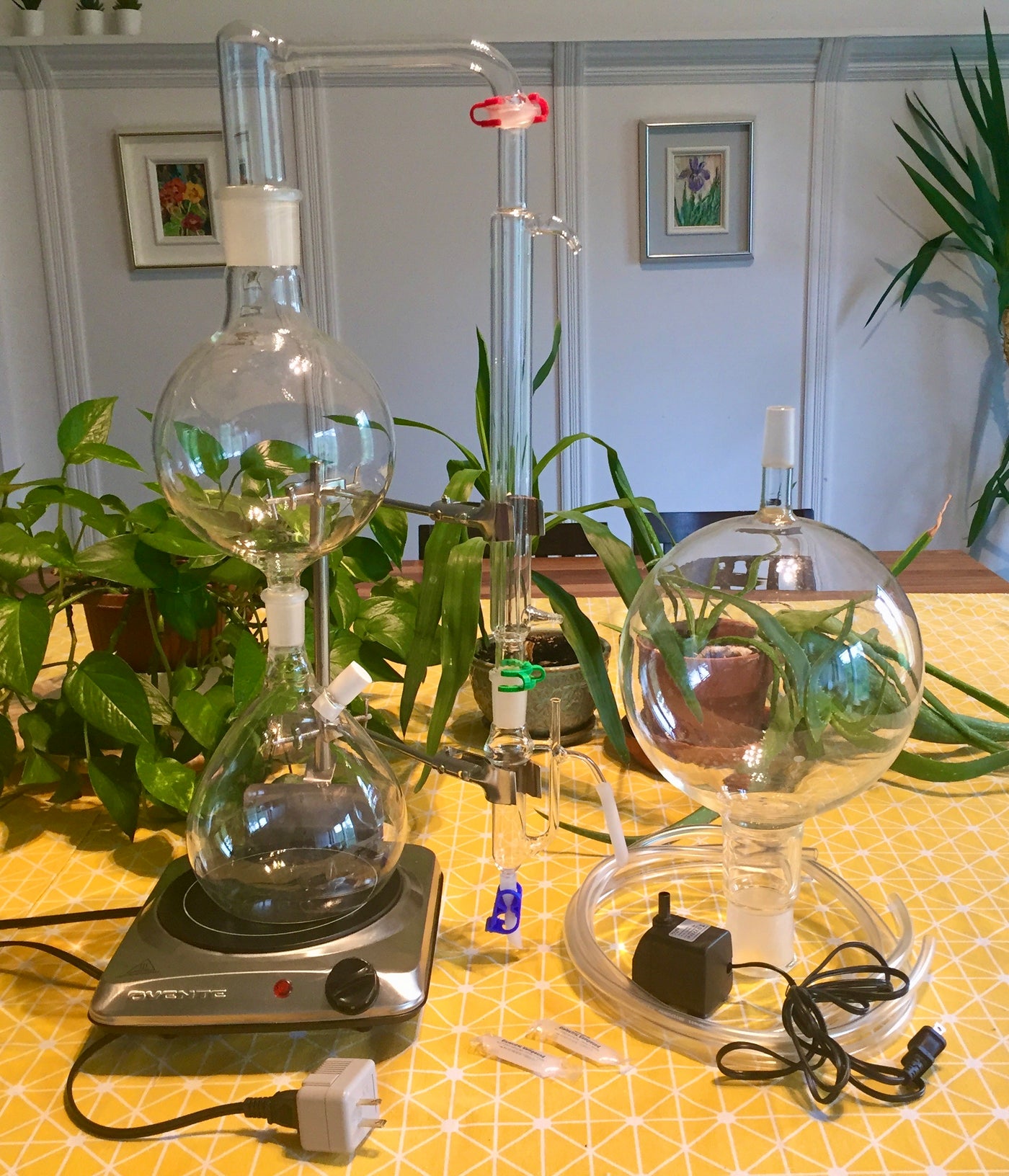 distillateur huiles essentielles en verre – Les Âmes Fleurs