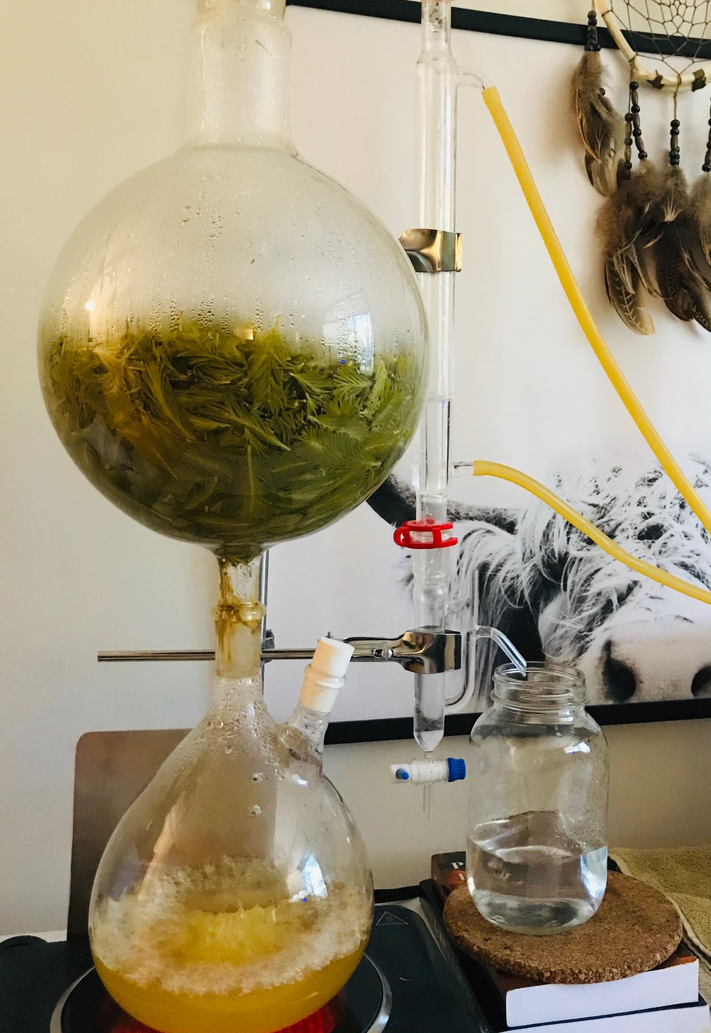 distillateur huiles essentielles en verre – Les Âmes Fleurs