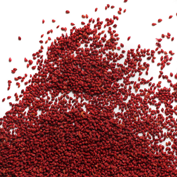 Organic cranberry seeds