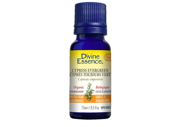 Cypress evergreen - essential oil organic