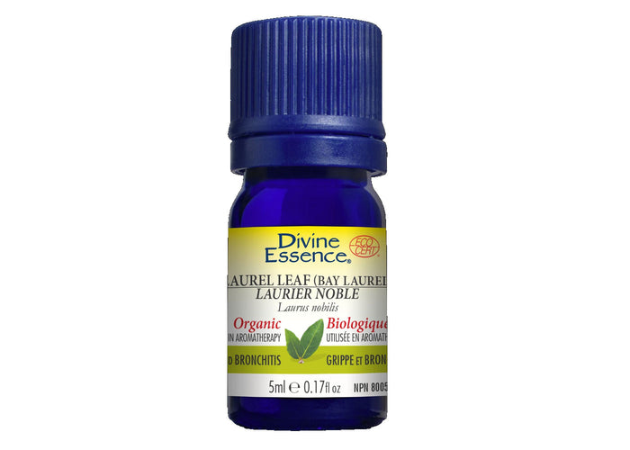 Noble laurel - essential oil organic