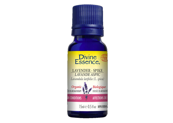 Spike lavender - essential oil organic