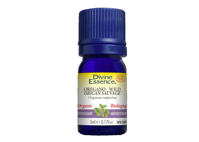 Wild oregano - essential oil organic - Antibacterial