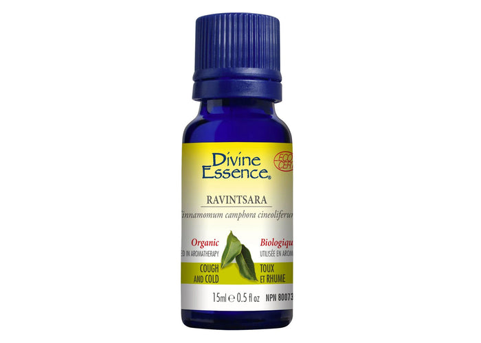 Ravintsara - Essential oil organic - Antiviral