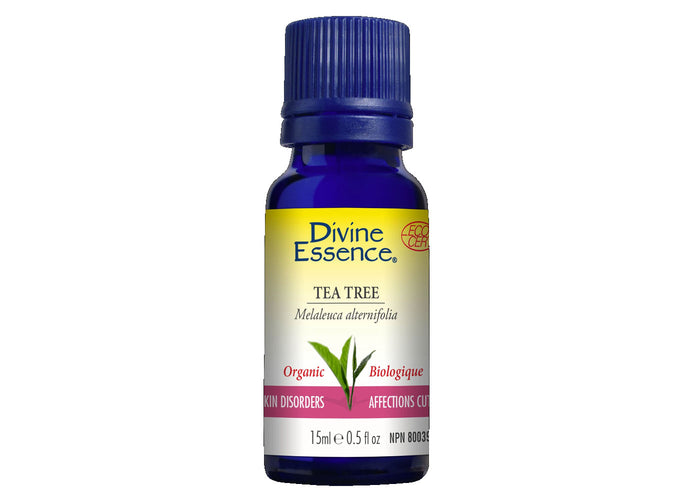 Théier (Tea Tree) - Essential oil organic - Treats acne