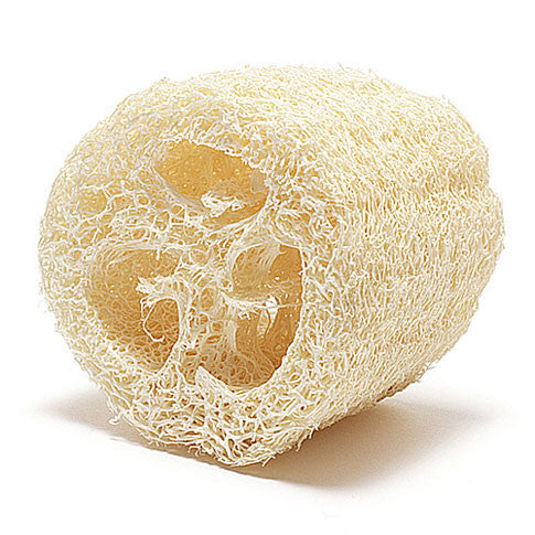 Whole luffa