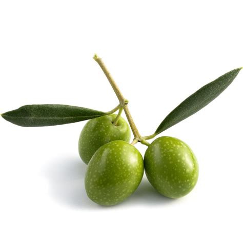 Olive Squalane - actif hydratant